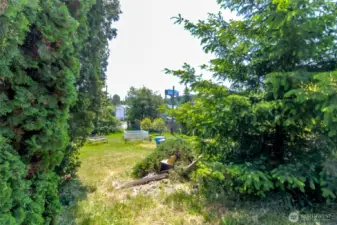 From from yard looking down toward the pond and road