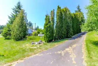 Driveway situated on the east property line