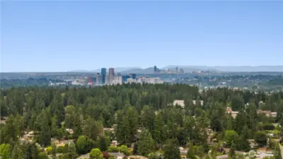 Aerial view of proximity to downtown