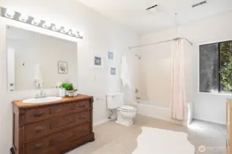Lower Level Bathroom anxiously awaits your updates.