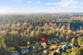 Aerial view showcasing the Maple Valley neighborhood, lush Pacific Northwest surroundings, and nearby homes.