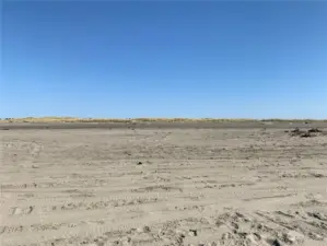 Sand Dunes just south of Taurus Blvd