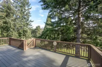 The upper deck is perfect for entertaining, with picturesque views of the golfers. A gate offers easy access to the lower patio, located just off the lower-level family room.
