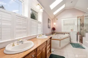 The massive spa like primary bath!