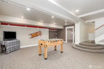 Lower level Great room/Rec room or whatever you would like to call it. Just a great space.