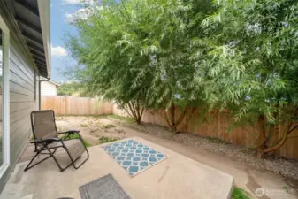 Backyard - Fenced