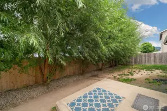 Backyard - Fenced