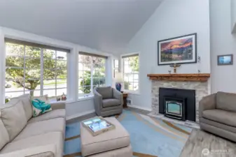 Living room with pellet stove