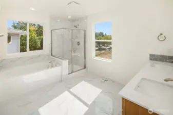 The luxurious Master Bathroom with separate shower & tub, dual sinks, separate toilet room, and a big walk-in closet
