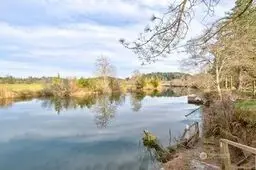 WillapaRiver at the edge of the yard.