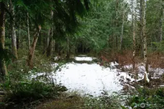 property has trails in the woods beyond the barn