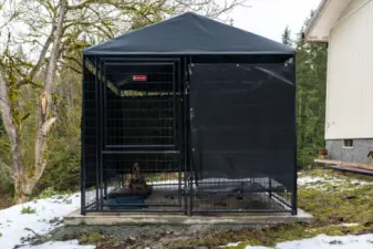 New Dog kennel