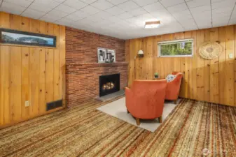 Lower Level Rec Room
