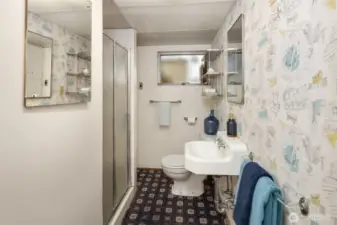 Lower Level 3/4 Bathroom