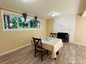 Downstairs Family Room