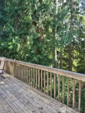 Backyard Wooden Deck