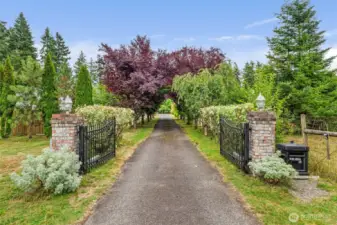 Gated Black Top Driveway.