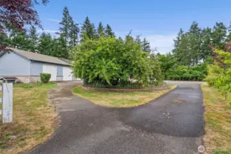 Circular Driveway for easy access to shop