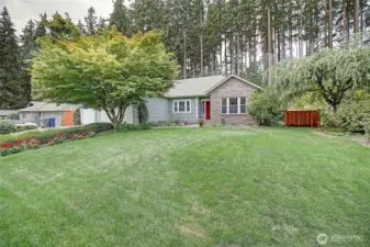 Pretty front yard & mature landscpaing!