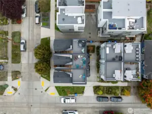 Birds eye