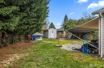 A Dense Row of Leyland Cypress Trees Provide Privacy to the North