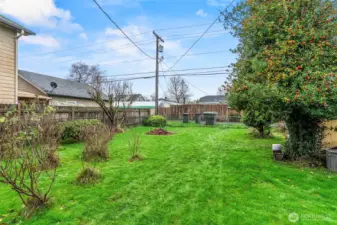 Nice large fully fenced backyard