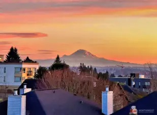 On clear days from Rooftop Deck Mount Rainier stands prominently on the horizon!