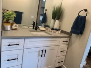 Updated master bath vanity