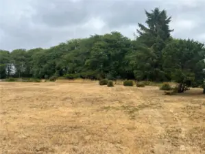 Lots of deer, wildlife and birds frequent the preserve