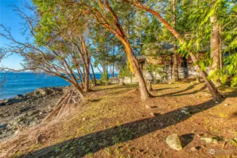 This is taken from the adjoining vacant and buildable lot that is included with the sale. Easy terrain and access to private cove and beach.