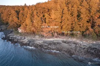 These are the two parcels included. The north (left) is the residence barely visible through the trees and the other (right) is the vacant waterfront lot.