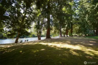 Fully fenced back yard to protect access to river. added security for littles ones and animals.