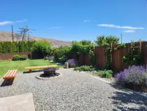 View South - Firepit, Fence, Perennials