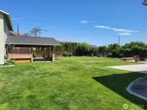 View of Yard from Driveway in Front of Shop