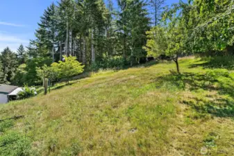Cherry and crabapple trees grace the hillside, leaving room to grow your own garden or create a peaceful retreat.