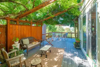 Deck with beautiful wisteria arbor.