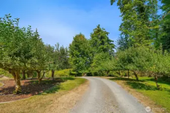 Private drive leads you to your 1.3 acre with orchard, waterfront and a remarkable home.