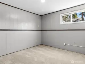 downstairs bonus room