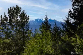 Mountain views from primary bedroom