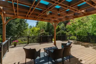 TimberTech deck with dimmable party lights, great for entertaining.