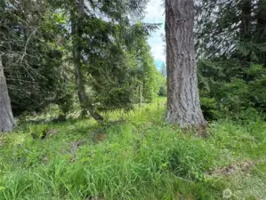 Corner Lot  with greenbelt bordering Walker.  Sewer Assessment Paid!  Late comer fee due when you build. water $500 hook up