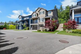 Alleyway no through traffic to home