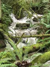 Tiger Mountain Trail is just a 5 minute walk