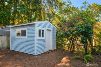 LARGE DETACHED GARDEN SHED/ WORK