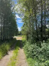 Entrance to area north of Cougar Smith