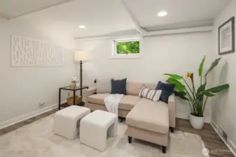 Lower level TV room
