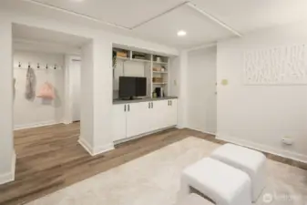 TV room with built-in storage