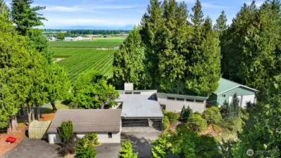 Welcome to your new home! Set high on a hill looking north towards Lynden. 2 story home with detached garage and huge 1200sf shop!