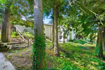 Looking towards the house from the side of the shop. Stairs lead to the patio off of the primary bedroom. Look at all those trees!