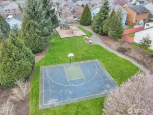 Basketball Court
